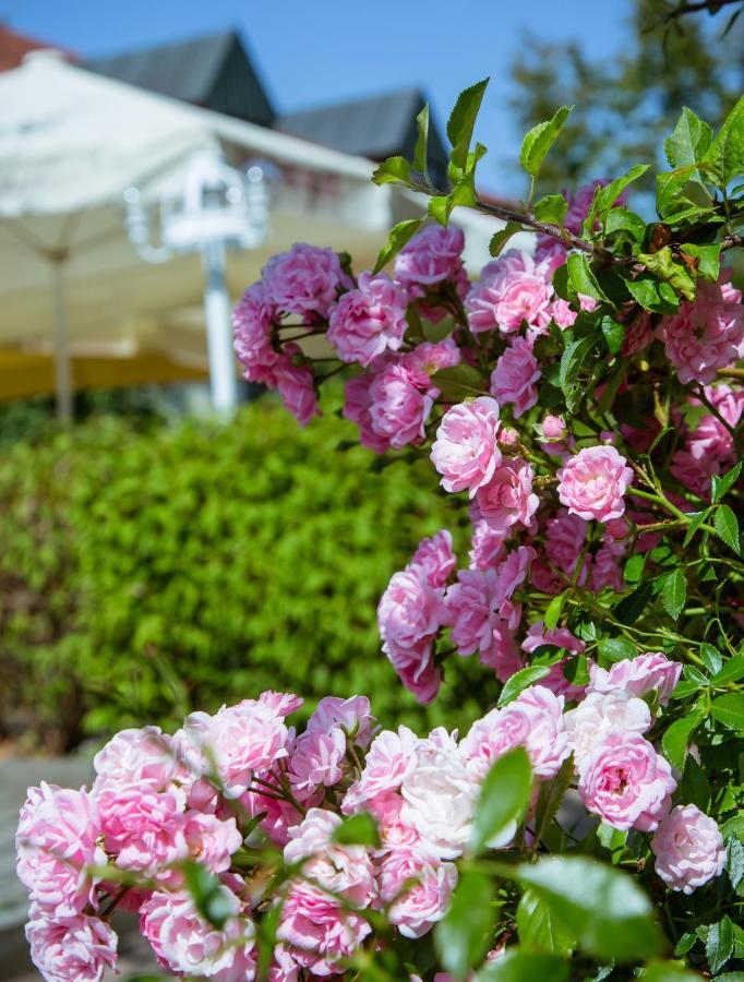 Landhotel Schneider Riedenburg Dış mekan fotoğraf